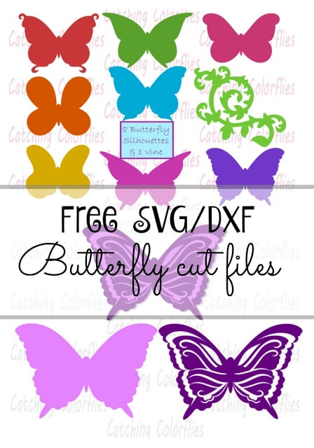 How to Make a 3d Butterfly with Free SVG File - Daily Dose of DIY