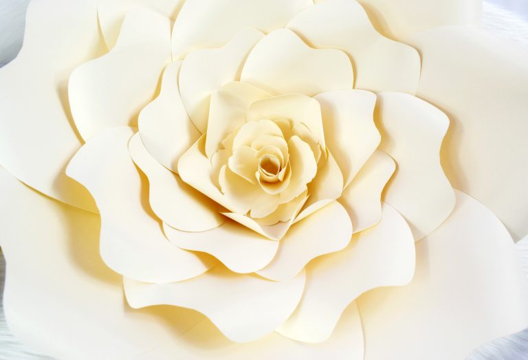 DIY Paper Rose Tutorial: Large Bella Rose | Abbi Kirsten Collections