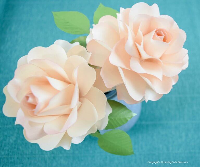 Two cream colored small Annabelle paper roses with green leaves.