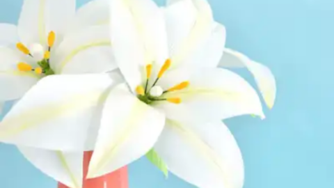 White Flower Appliqué – Carina's Craftblog