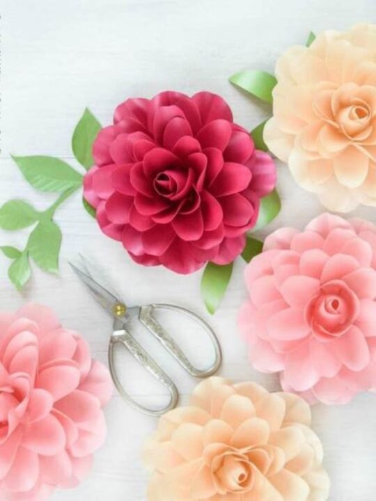 Paper Camellia Rose Template & Tutorial