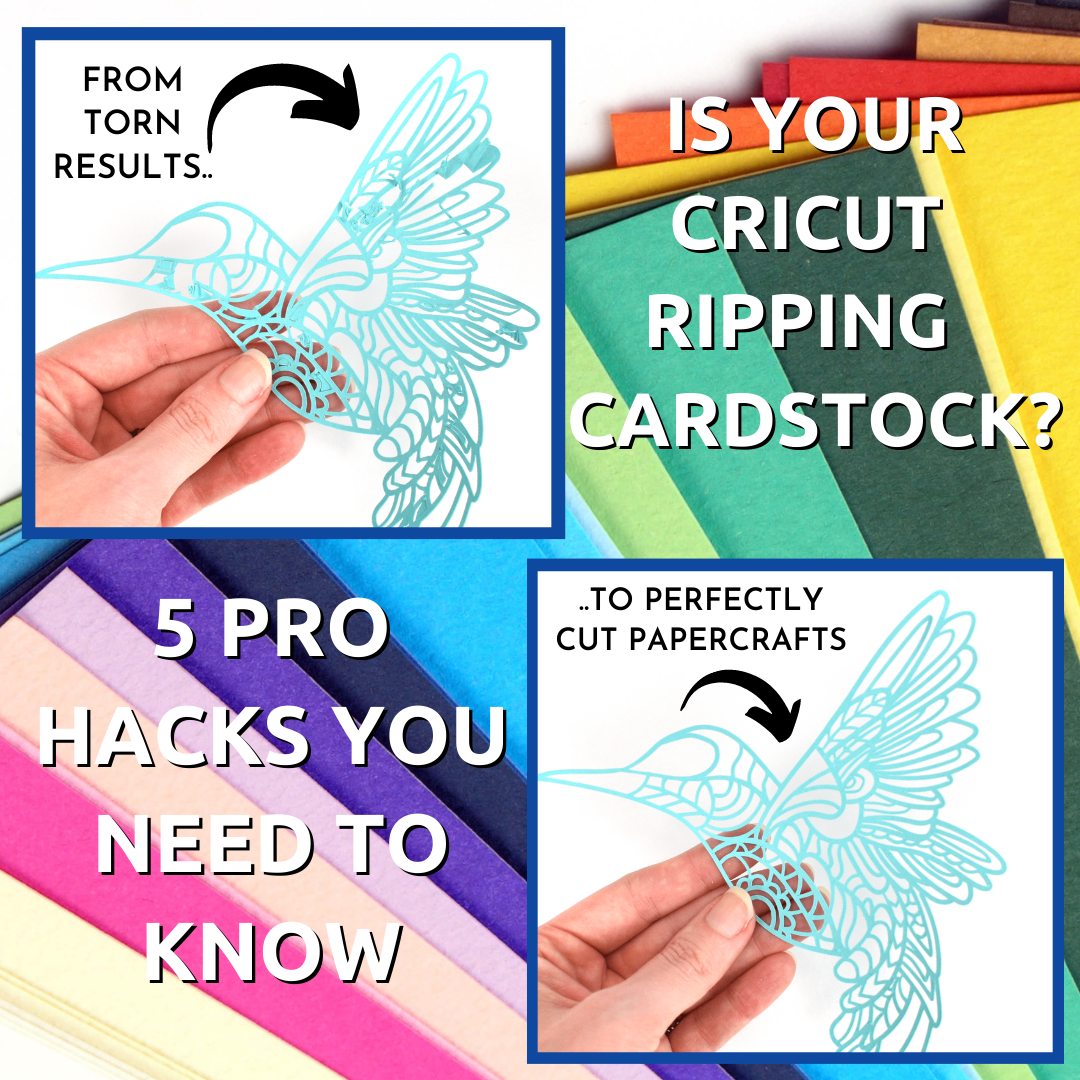 Green Cardstock Paper Guide - Fine Cardstock